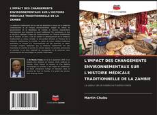 L'IMPACT DES CHANGEMENTS ENVIRONNEMENTAUX SUR L'HISTOIRE MÉDICALE TRADITIONNELLE DE LA ZAMBIE kitap kapağı