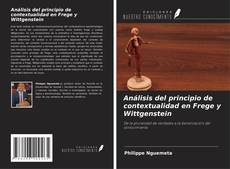 Análisis del principio de contextualidad en Frege y Wittgenstein的封面