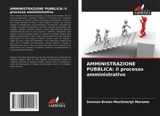 AMMINISTRAZIONE PUBBLICA: il processo amministrativo kitap kapağı