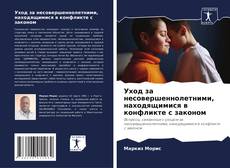Bookcover of Уход за несовершеннолетними, находящимися в конфликте с законом