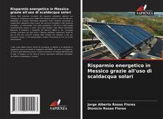 Capa do livro de Risparmio energetico in Messico grazie all'uso di scaldacqua solari 