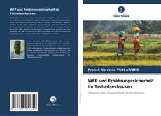 Portada del libro de WFP und Ernährungssicherheit im Tschadseebecken