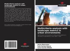 Multicriteria analysis with landscape metrics in urban environments kitap kapağı
