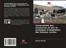 Capa do livro de Vulnérabilité des ressources en eau et stratégies d'adaptation des femmes rurales 