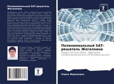 Полиномиальный SAT-решатель Жегалкина kitap kapağı