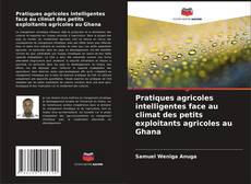 Bookcover of Pratiques agricoles intelligentes face au climat des petits exploitants agricoles au Ghana