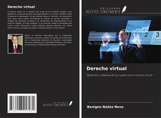 Buchcover von Derecho virtual