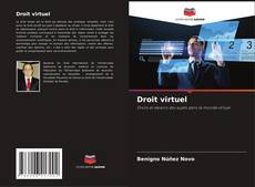 Обложка Droit virtuel