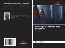 Bookcover of DRCongo economic data collection
