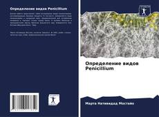 Buchcover von Определение видов Penicillium