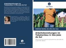 Bookcover of Arbeitsbeziehungen im Tabakanbau in São João do Sul