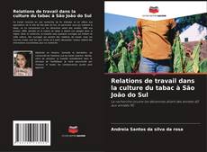 Relations de travail dans la culture du tabac à São João do Sul的封面