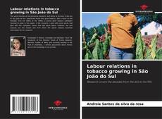 Bookcover of Labour relations in tobacco growing in São João do Sul