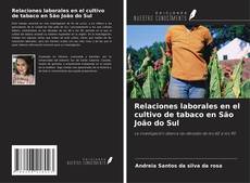 Portada del libro de Relaciones laborales en el cultivo de tabaco en São João do Sul