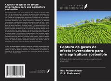 Captura de gases de efecto invernadero para una agricultura sostenible的封面