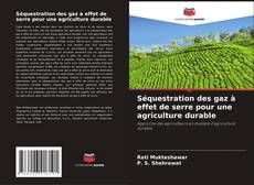 Buchcover von Séquestration des gaz à effet de serre pour une agriculture durable