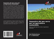 Sequestro dei gas serra per un'agricoltura sostenibile kitap kapağı
