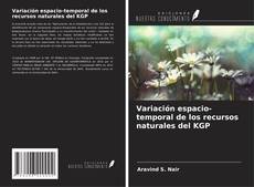 Copertina di Variación espacio-temporal de los recursos naturales del KGP