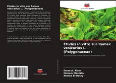 Portada del libro de Études in vitro sur Rumex vesicarius L. (Polygonaceae)