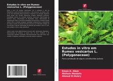 Обложка Estudos in vitro em Rumex vesicarius L. (Polygonaceae)