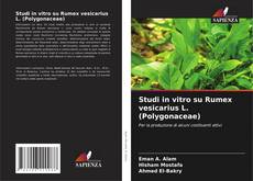Portada del libro de Studi in vitro su Rumex vesicarius L. (Polygonaceae)