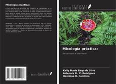 Bookcover of Micología práctica: