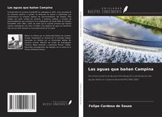 Bookcover of Las aguas que bañan Campina