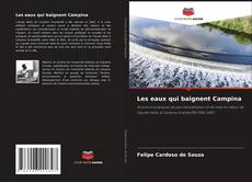 Bookcover of Les eaux qui baignent Campina