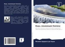 Воды, омывающие Кампину kitap kapağı