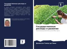 Bookcover of Государственные расходы и развитие