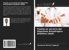 Puesta en servicio del Algoritmo Anisotrópico Analítico (AAA)的封面