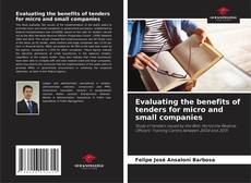 Capa do livro de Evaluating the benefits of tenders for micro and small companies 
