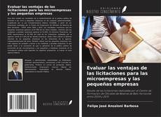 Copertina di Evaluar las ventajas de las licitaciones para las microempresas y las pequeñas empresas