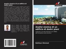 Analisi sismica di un edificio di dodici piani kitap kapağı