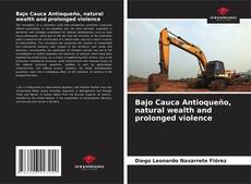 Bookcover of Bajo Cauca Antioqueño, natural wealth and prolonged violence