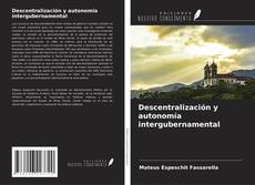 Descentralización y autonomía intergubernamental kitap kapağı