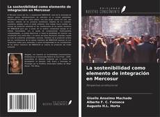 La sostenibilidad como elemento de integración en Mercosur kitap kapağı