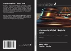 Capa do livro de Interseccionalidad y justicia penal 