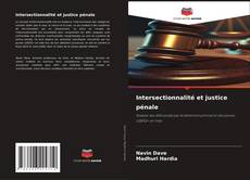 Borítókép a  Intersectionnalité et justice pénale - hoz