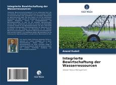 Copertina di Integrierte Bewirtschaftung der Wasserressourcen