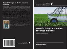 Buchcover von Gestión integrada de los recursos hídricos