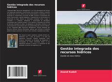 Buchcover von Gestão integrada dos recursos hídricos