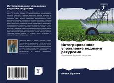 Bookcover of Интегрированное управление водными ресурсами