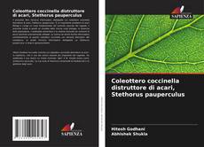 Copertina di Coleottero coccinella distruttore di acari, Stethorus pauperculus