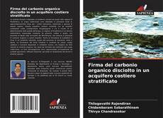 Bookcover of Firma del carbonio organico disciolto in un acquifero costiero stratificato
