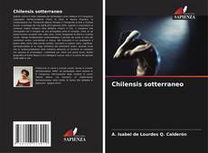 Chilensis sotterraneo kitap kapağı