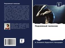 Bookcover of Подземный чилензис