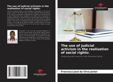 Portada del libro de The use of judicial activism in the realisation of social rights:
