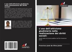 Bookcover of L'uso dell'attivismo giudiziario nella realizzazione dei diritti sociali: