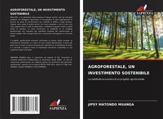 AGROFORESTALE, UN INVESTIMENTO SOSTENIBILE kitap kapağı